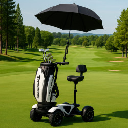1784831780062912_Golfscooter_3.0_-_03.jpg