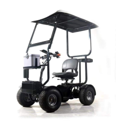 1739954757721_EziGolf_-_EziBuggy_12.png
