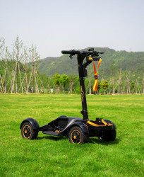 1784831799607286_Golfscooter_3.0_-_08.jpg