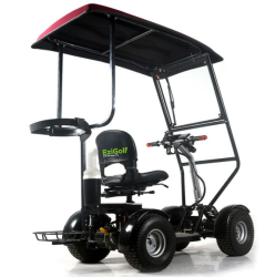 1739954723439_EziGolf_-_EziBuggy_02.png